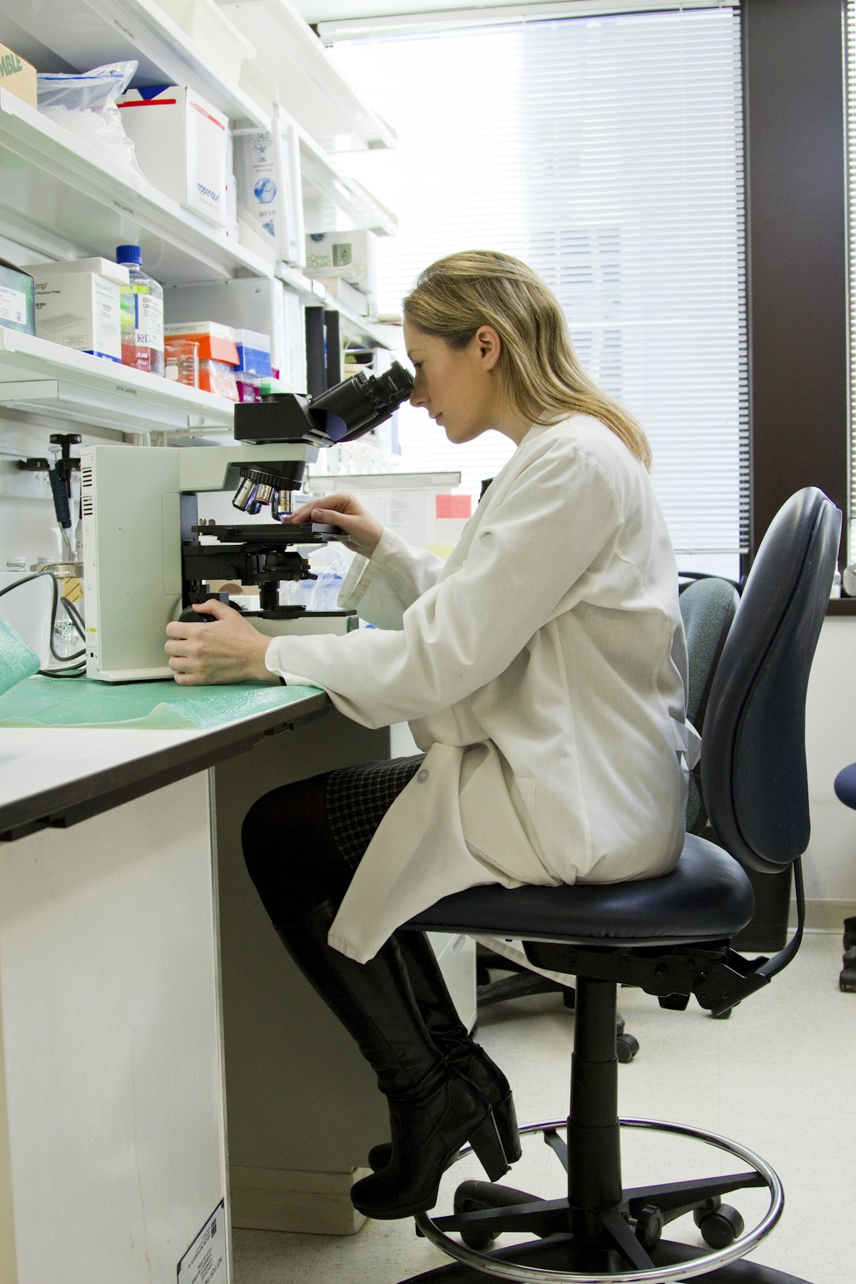 BPC-157: What 100+ Animal Studies Show (and Why Human Trials Still Don't Exist)