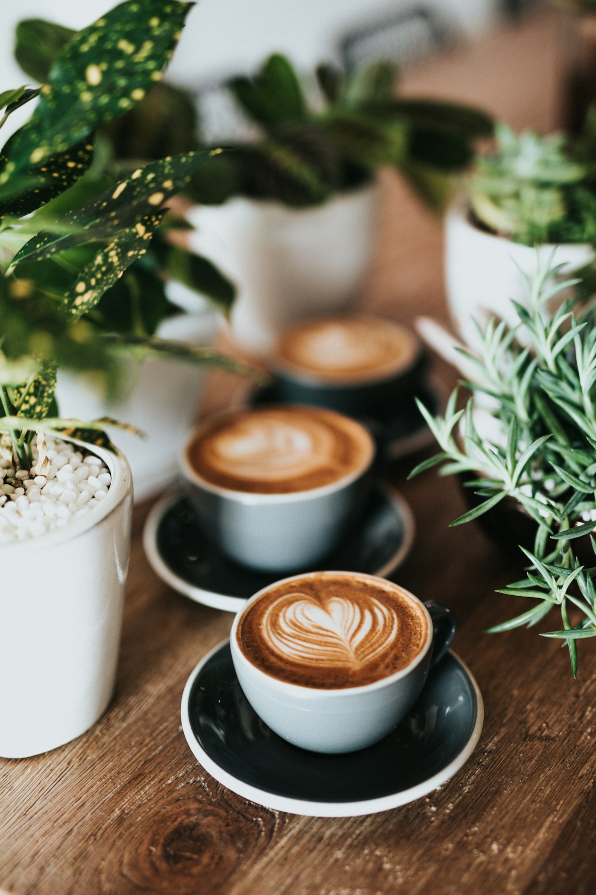 L-Theanine and Caffeine: The Calm-Focus Stack