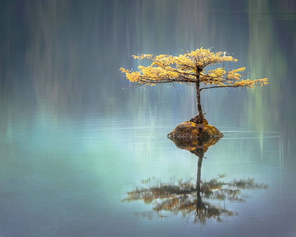 Your Brain on Chronic Stress: What's Actually Happening (and What Reverses It)
