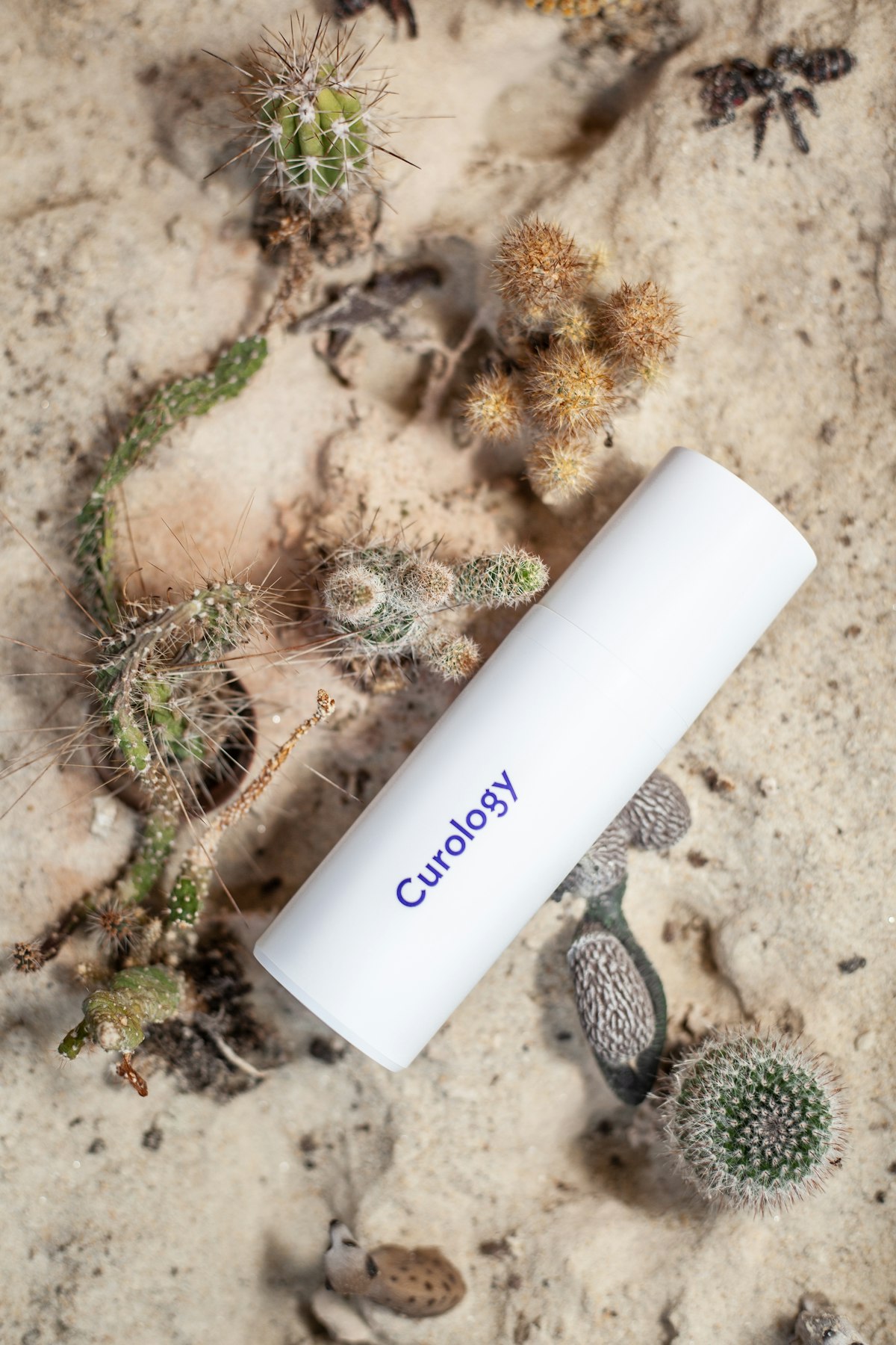 Collagen Peptides: Skin, Joints, and the Evidence