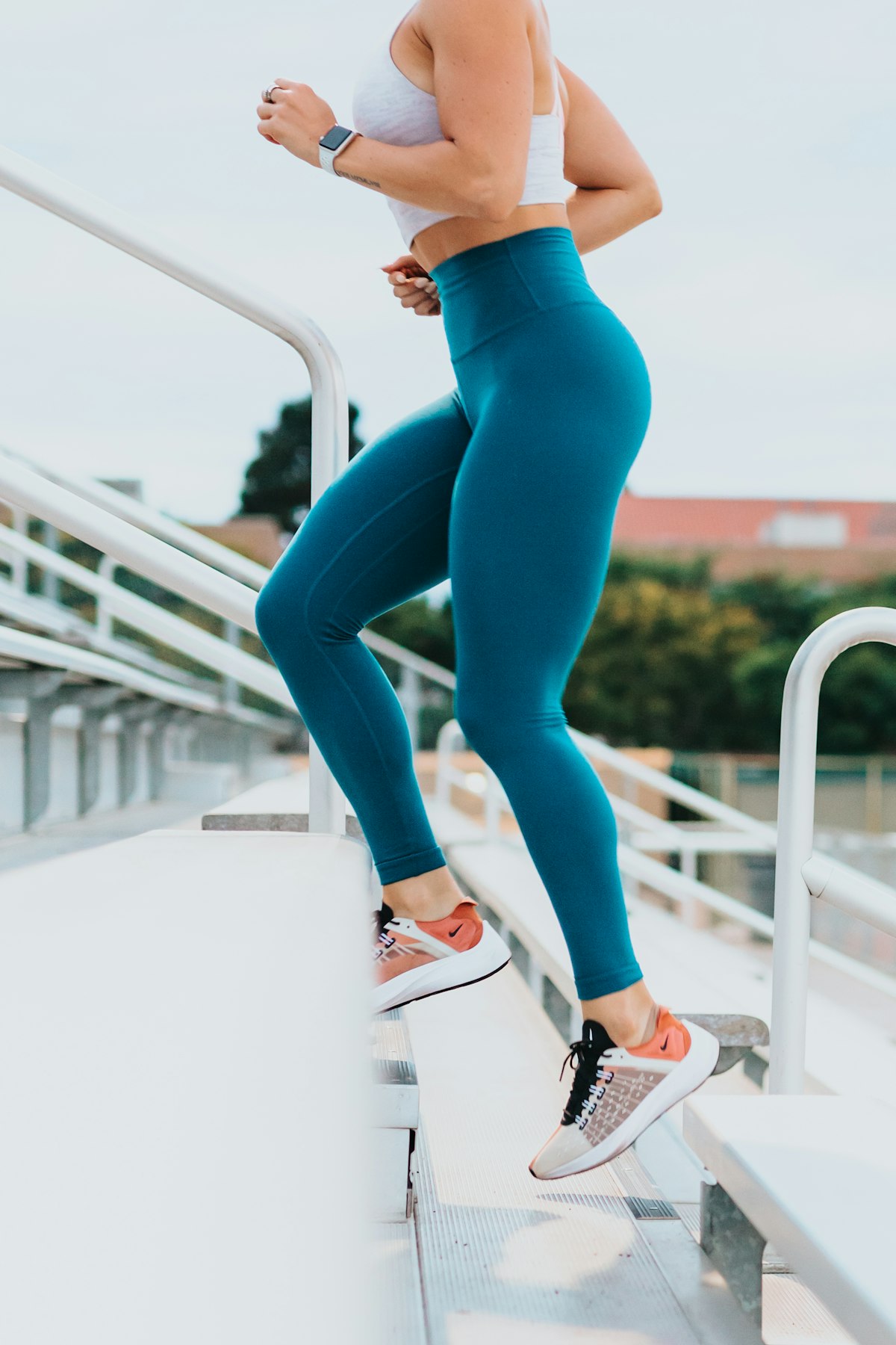 Zone 2 Cardio: The Longevity Workout, Fact-Checked