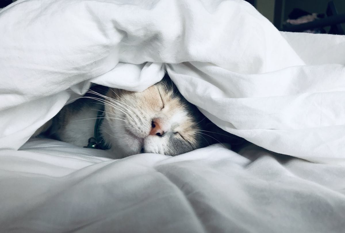 Glycine: The Underrated Sleep Amino Acid