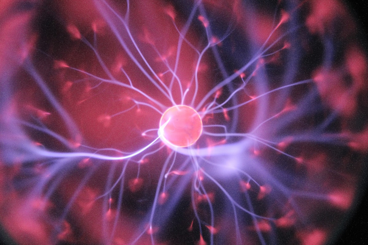 Creatine Beyond the Gym: Cognitive Benefits and Brain Energy