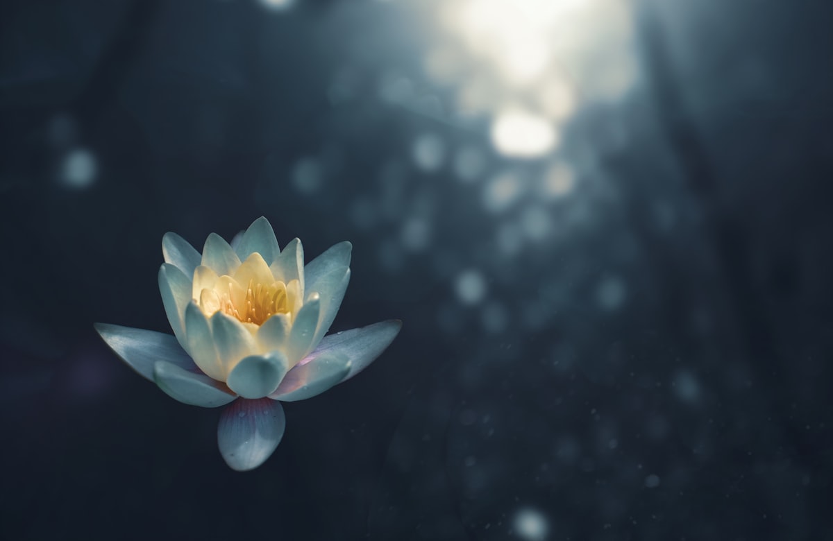 How Trauma Rewires the Nervous System — and What the Research Shows About Healing It